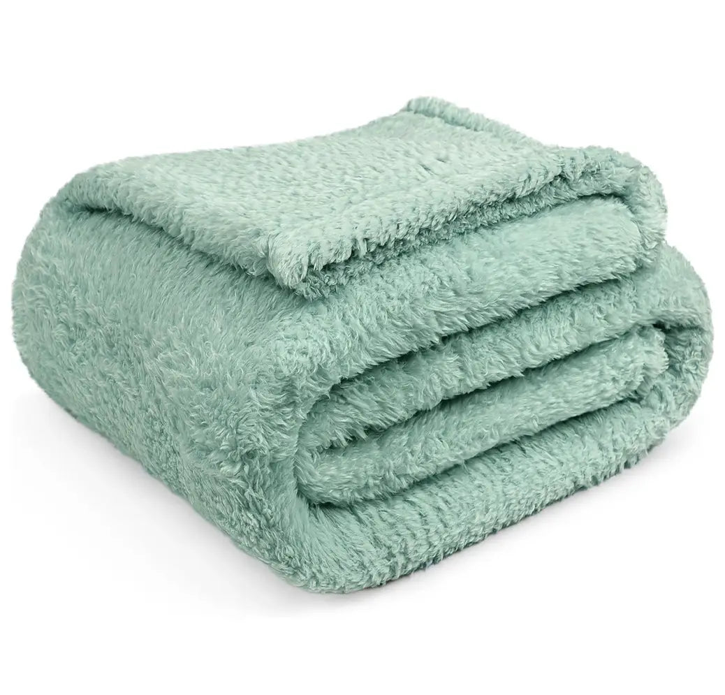 DOORBUSTER - Cozy Sherpa Blanket in Mint