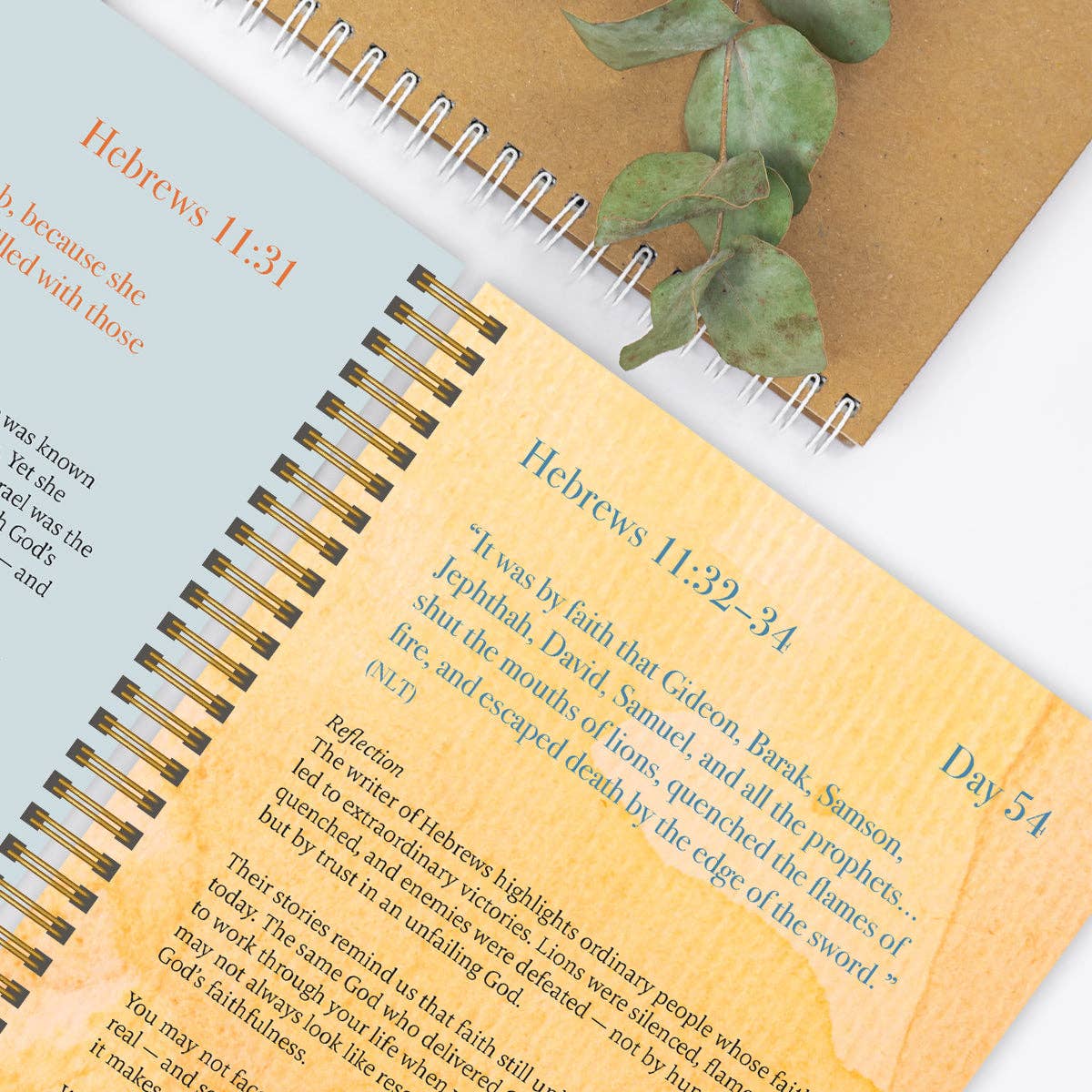 A Year In Devotion: 365 Days To Draw Near God