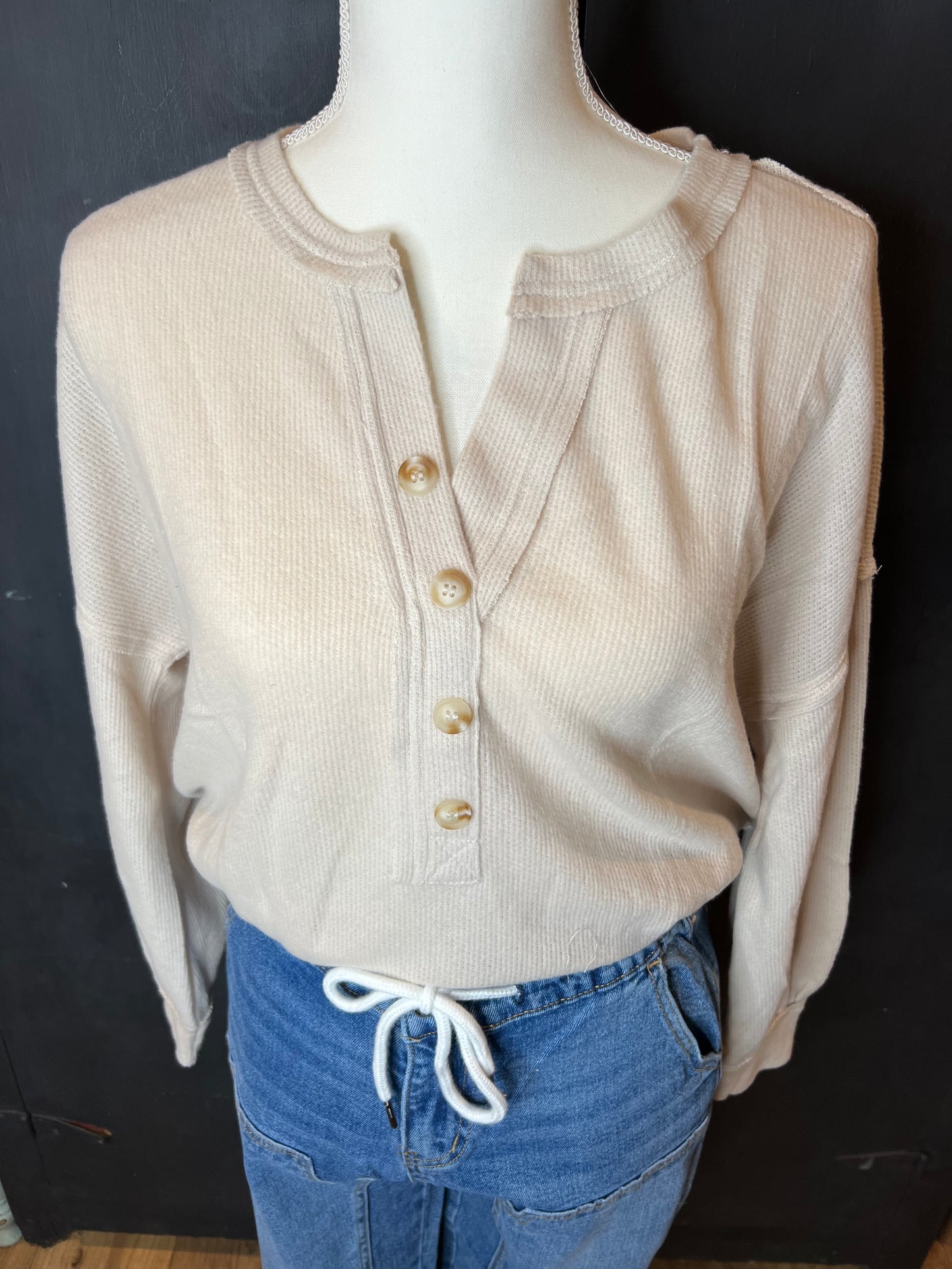 V Neck Long Sleeve in Oatmeal