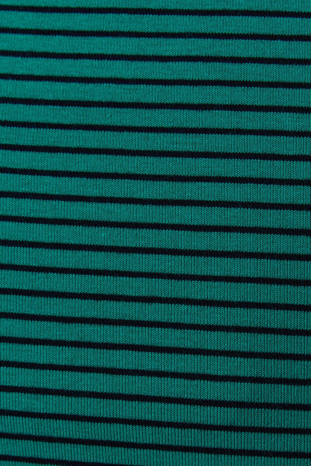 Stripe Tank in Green/Black