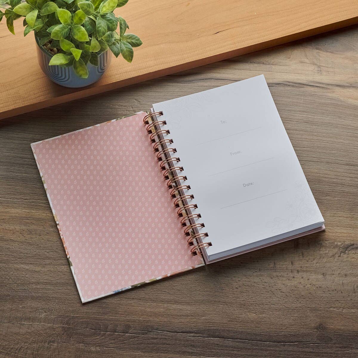 Spiral Journal - Proverbs 31