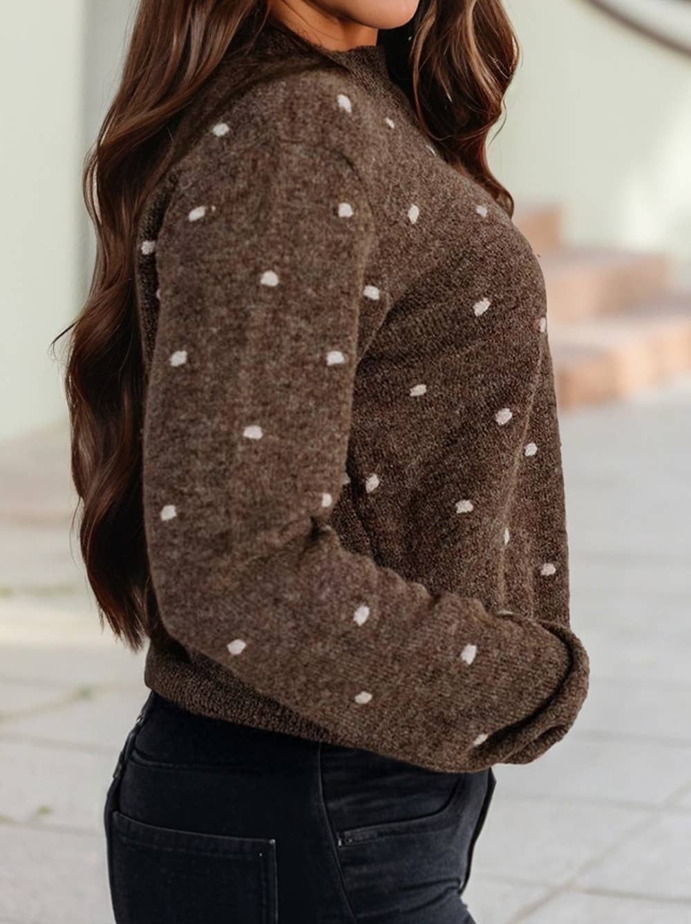 Polka Dot Sweater in Brown