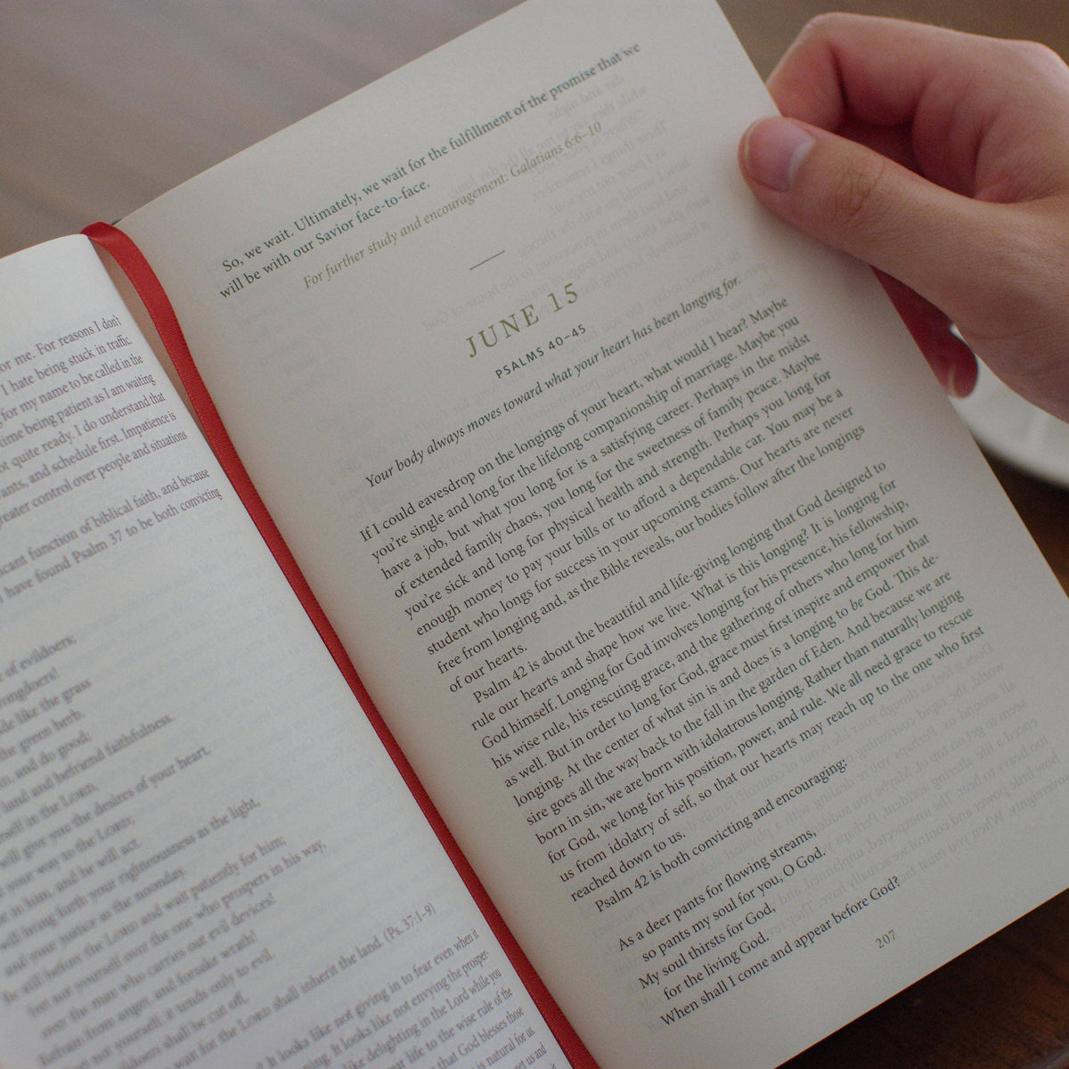 Everyday Gospel: A Daily Devotional