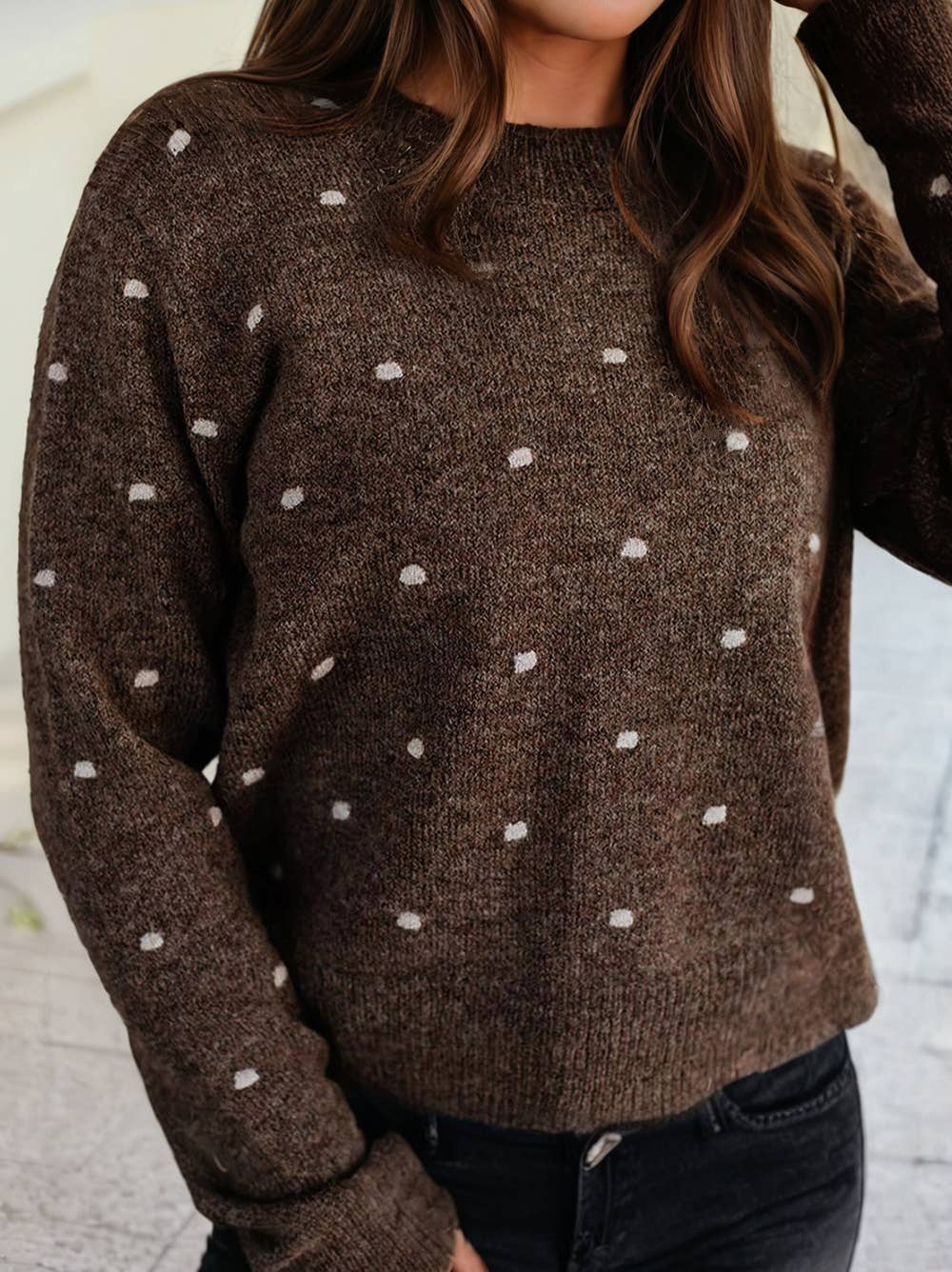 Polka Dot Sweater in Brown