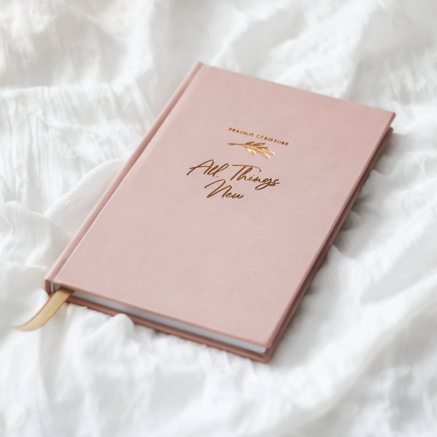 Praying Scripture Journal - All Things New