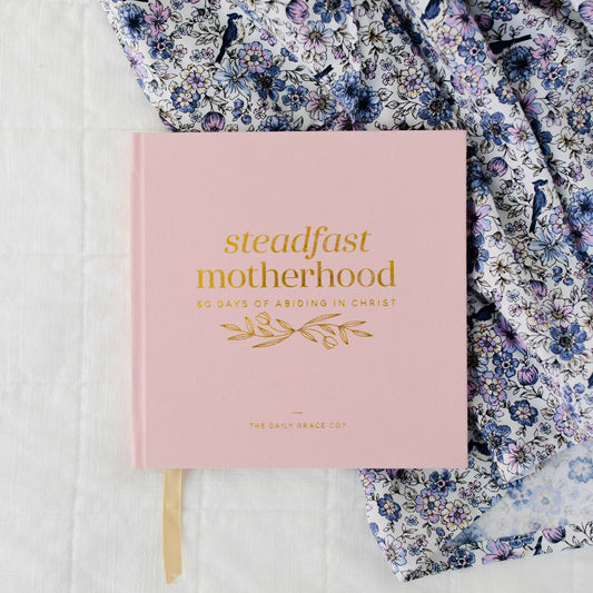 Steadfast Motherhood … 60 Day Devotional for Mamas